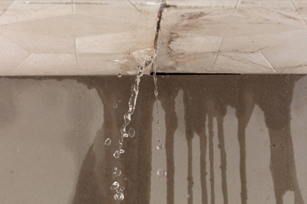 Professional Water Damage Repair technician working in Sharpsburg, GA